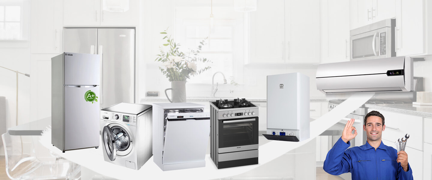 Şarkikaraağaç Electrolux Servisi