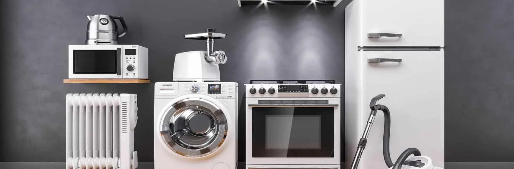 Şarkikaraağaç Electrolux Kombi Servisi
